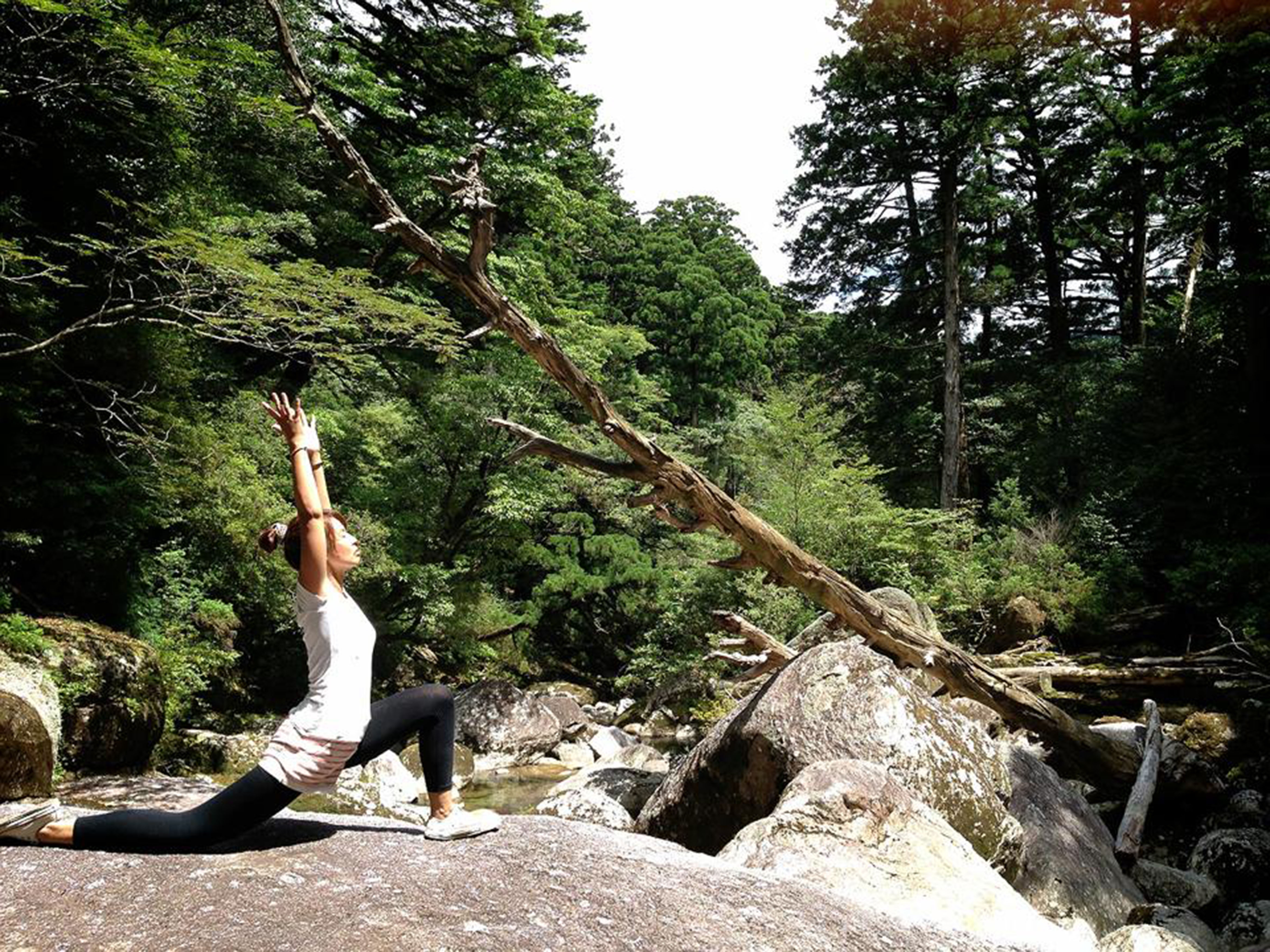 森で深呼吸～朝夕のヨガでリラックス2014年8月12日〜17日に神石高原ホテル宿泊者対象イベント開催