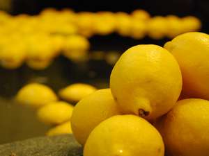 100個のフレッシュレモンが浮かぶ！瀬戸田町産レモンの湯～毎月26日は風呂の日！神勝寺温泉 昭和の湯
