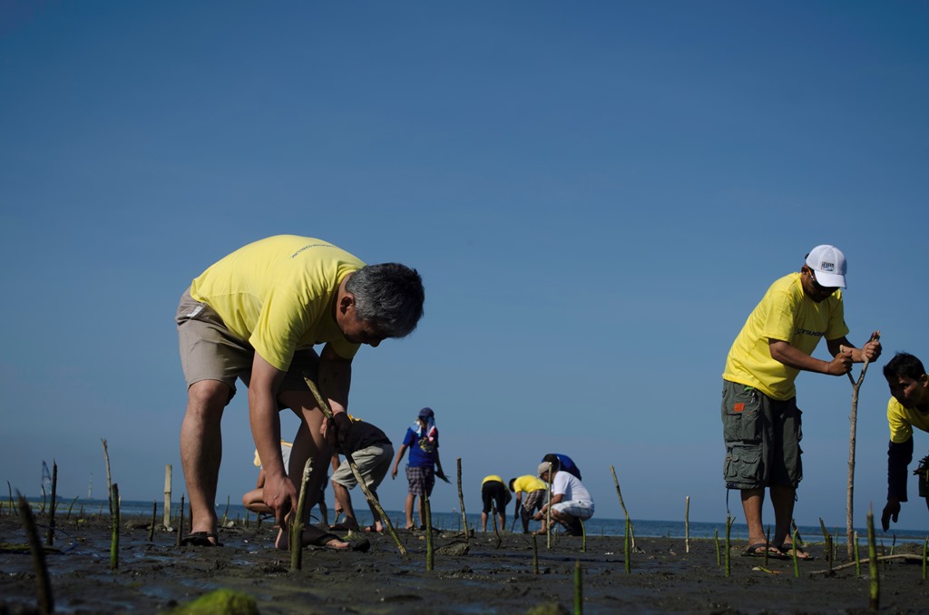 「世界湿地の日」を記念　ツネイシセブ財団が20,000本のマングローブを植樹
