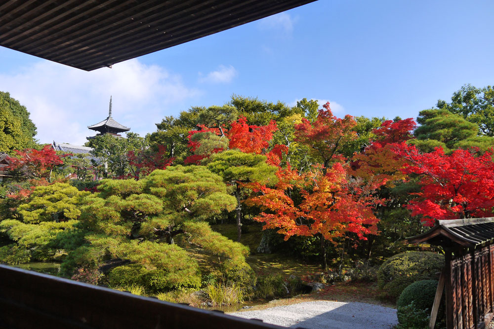 秋深まる10月は「京都フェア」に決定!!京グルメ・京土産が揃う神勝寺温泉昭和の湯で、はんなり・のんびり。